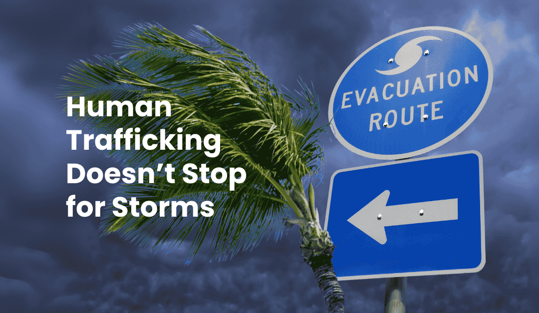 Hurricanes Bring More Than Wind and Rain — They Bring Predators (Op-Ed)